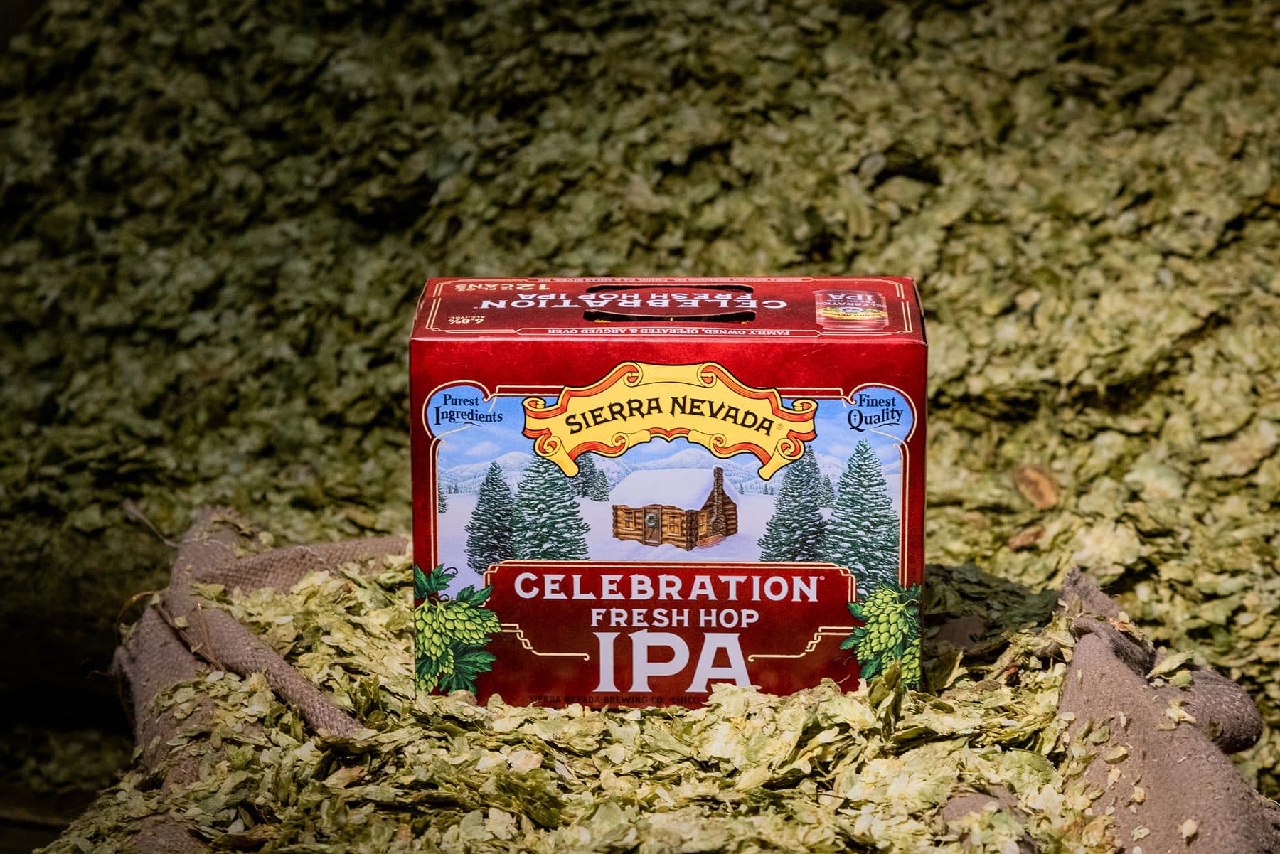 A Sierra Nevada brewer rubbing hops in their hands